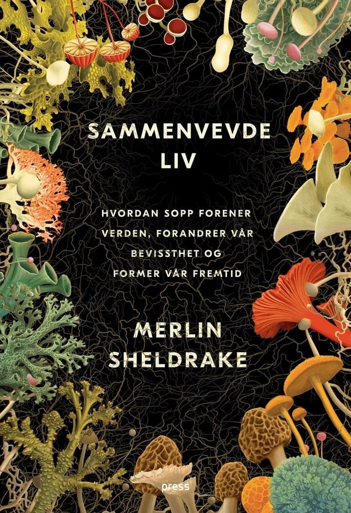 Sammenvevde liv - hvordan sopp forener verden, forandrer vår bevissthet og former vår fremtid