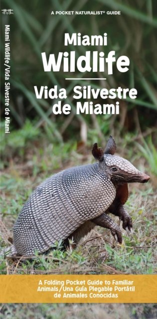 Miami Wildlife