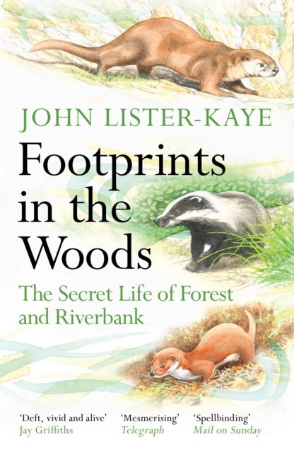 Footprints in the Woods