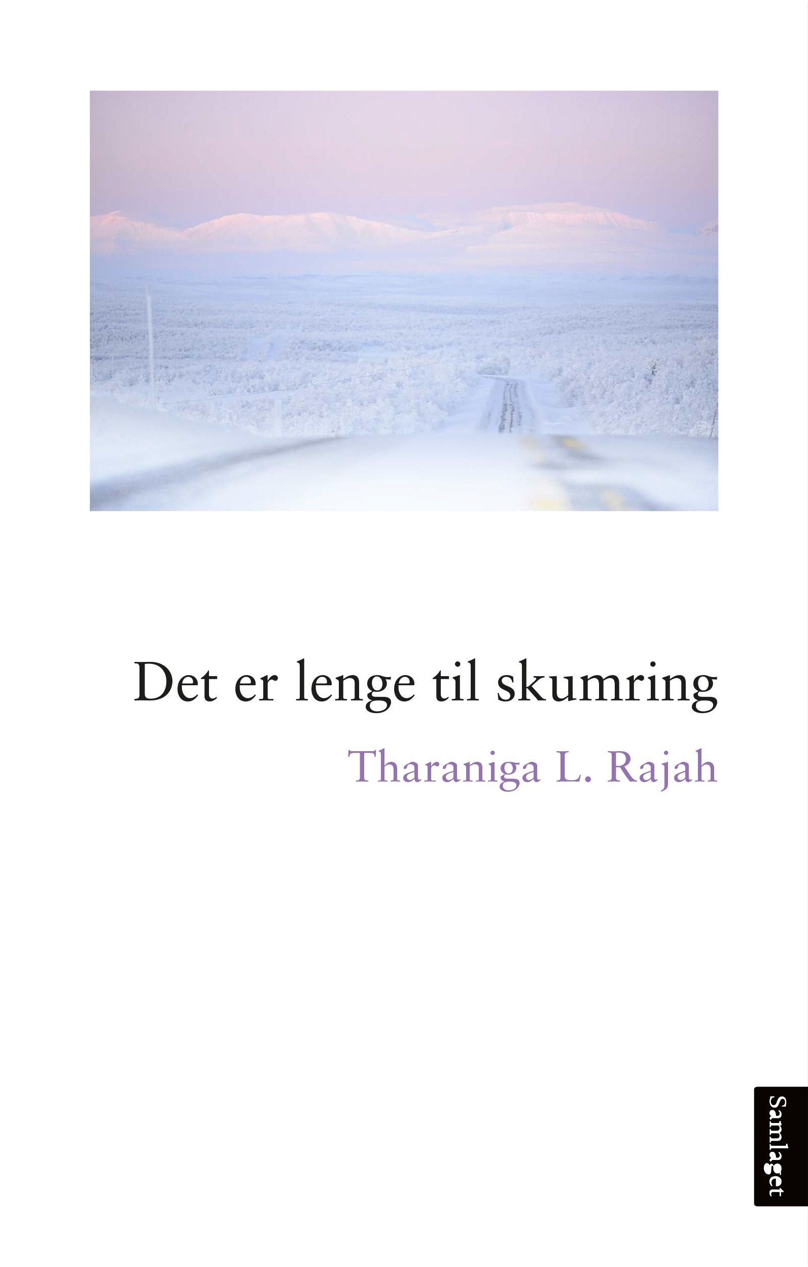 Det er lenge til skumring - roman