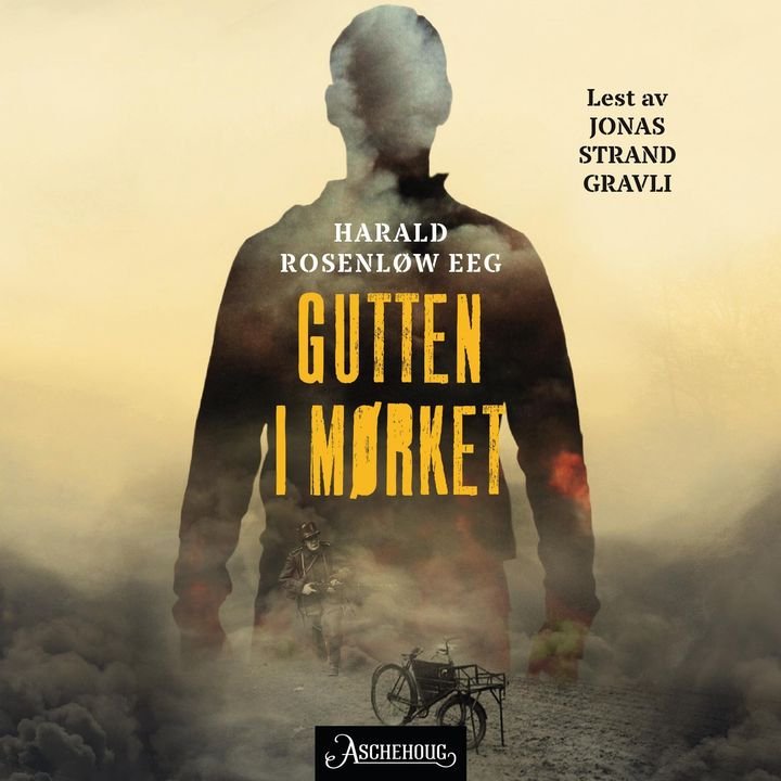 Gutten i mørket - roman
