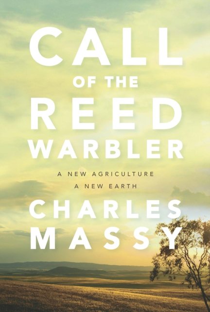 Call of the Reed Warbler