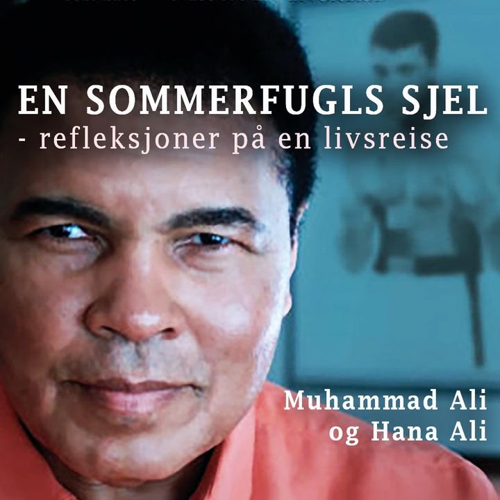 En sommerfugls sjel - refleksjoner på en livsreise