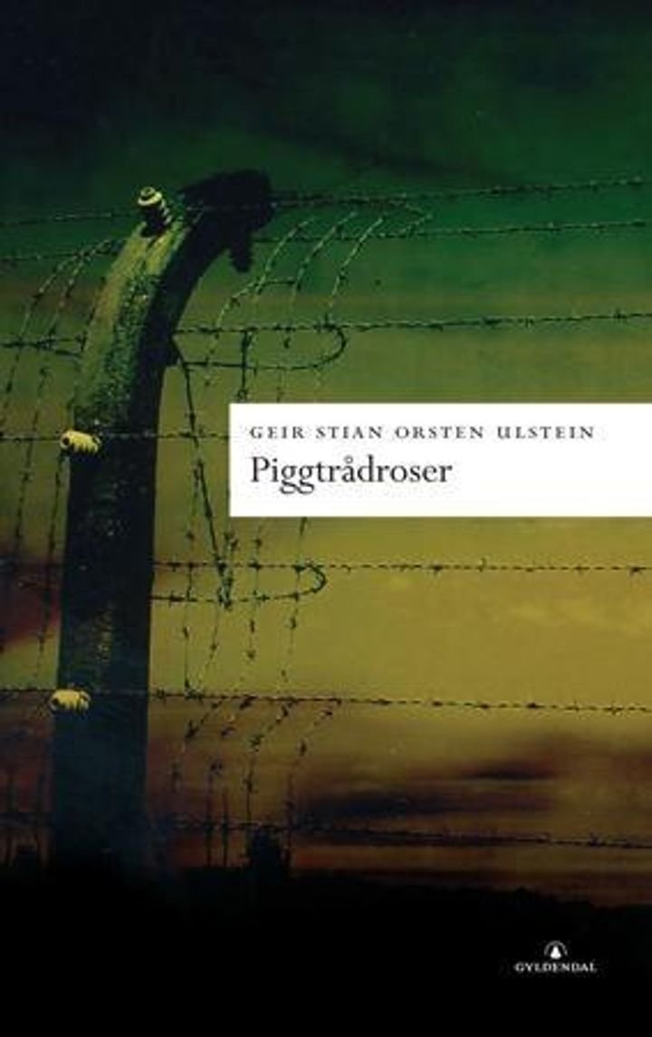Piggtrådroser - roman