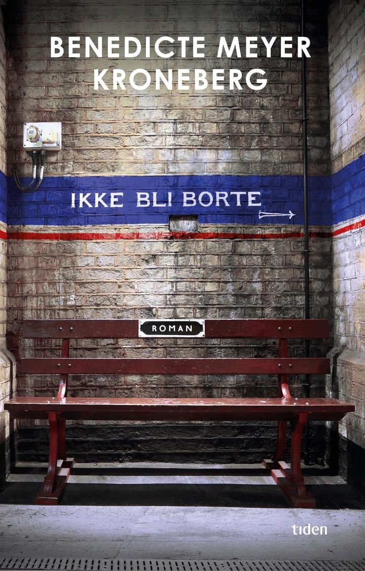 Ikke bli borte - roman