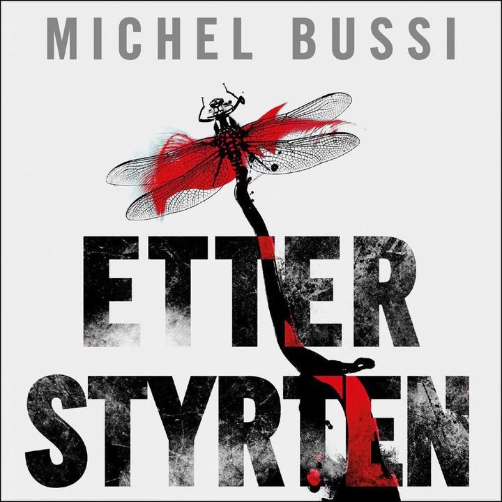 Etter styrten