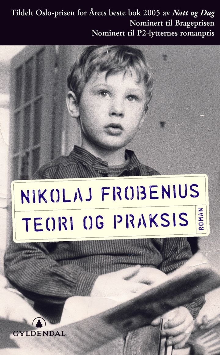 Teori og praksis - roman*