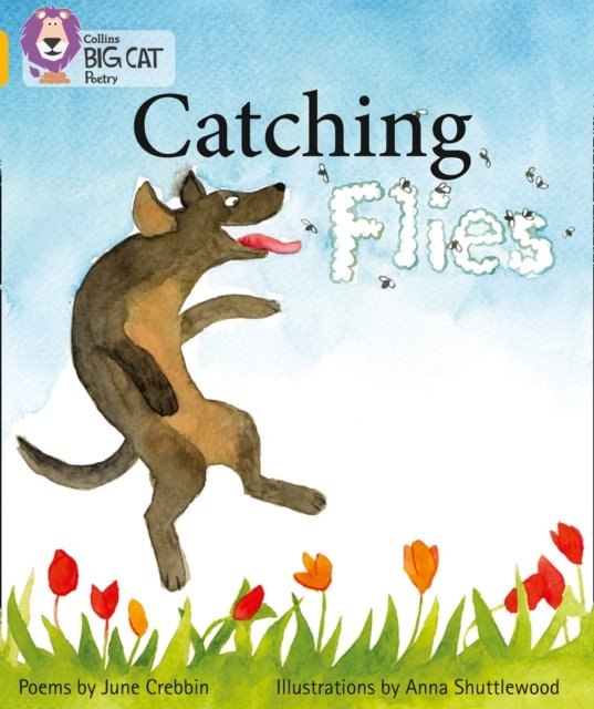 BIG CAT - CATCHING FLIES