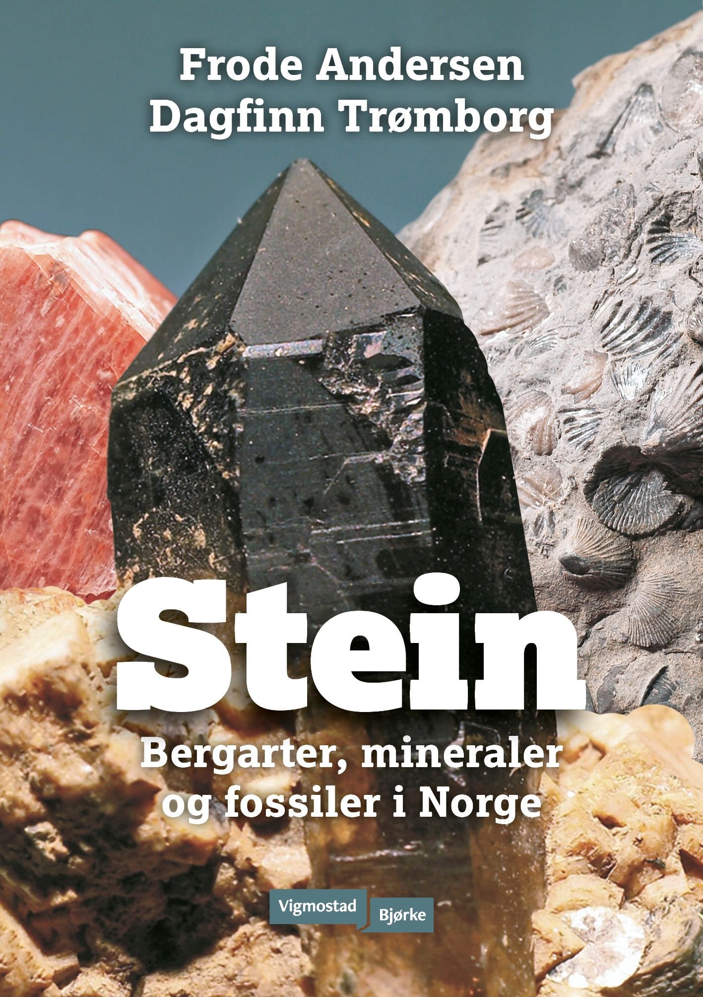 Stein av Frode Andersen, Dagfinn Trømborg