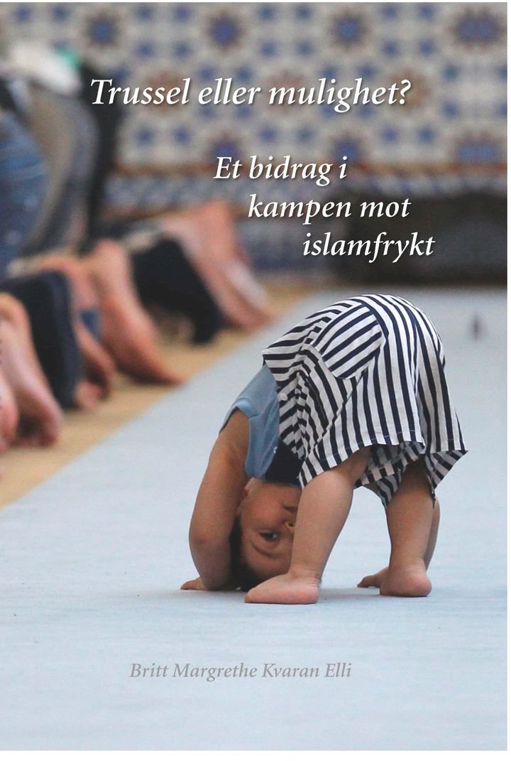 Trussel eller mulighet? - et bidrag i kampen mot islamfrykt