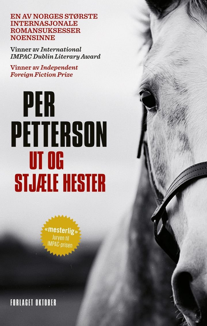 Ut og stjæle hester - roman