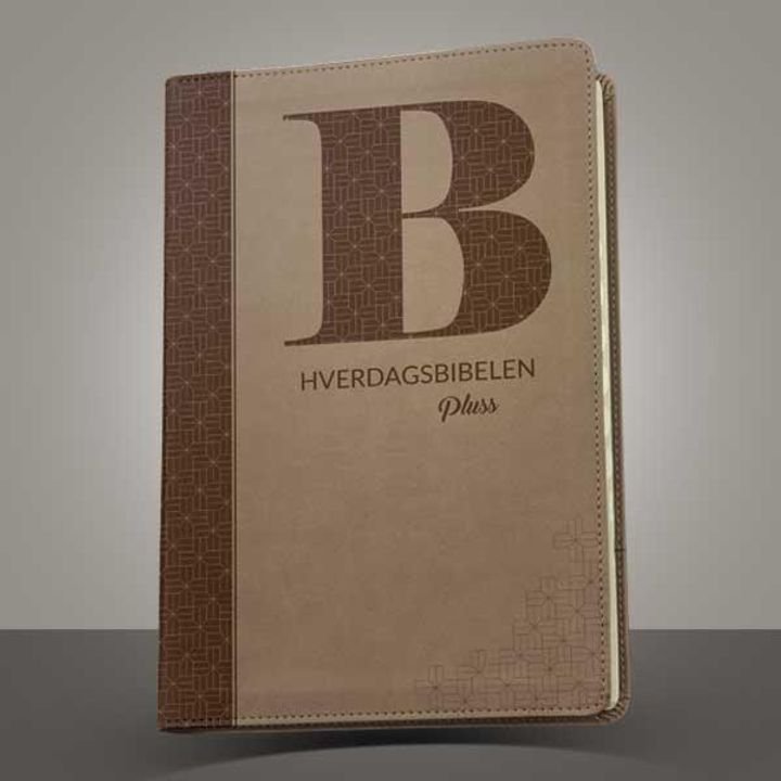 Hverdagsbibelen pluss