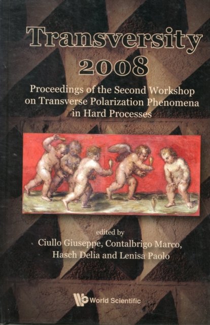 TRANSVERSITY 2008