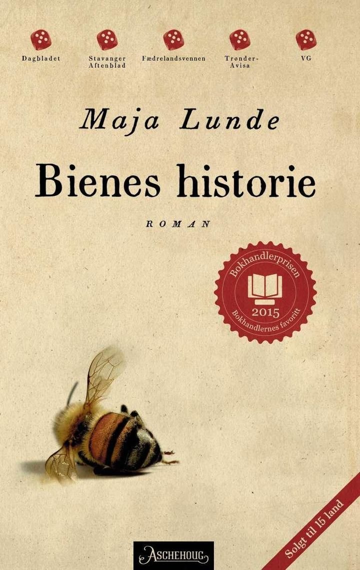 Bienes historie - roman