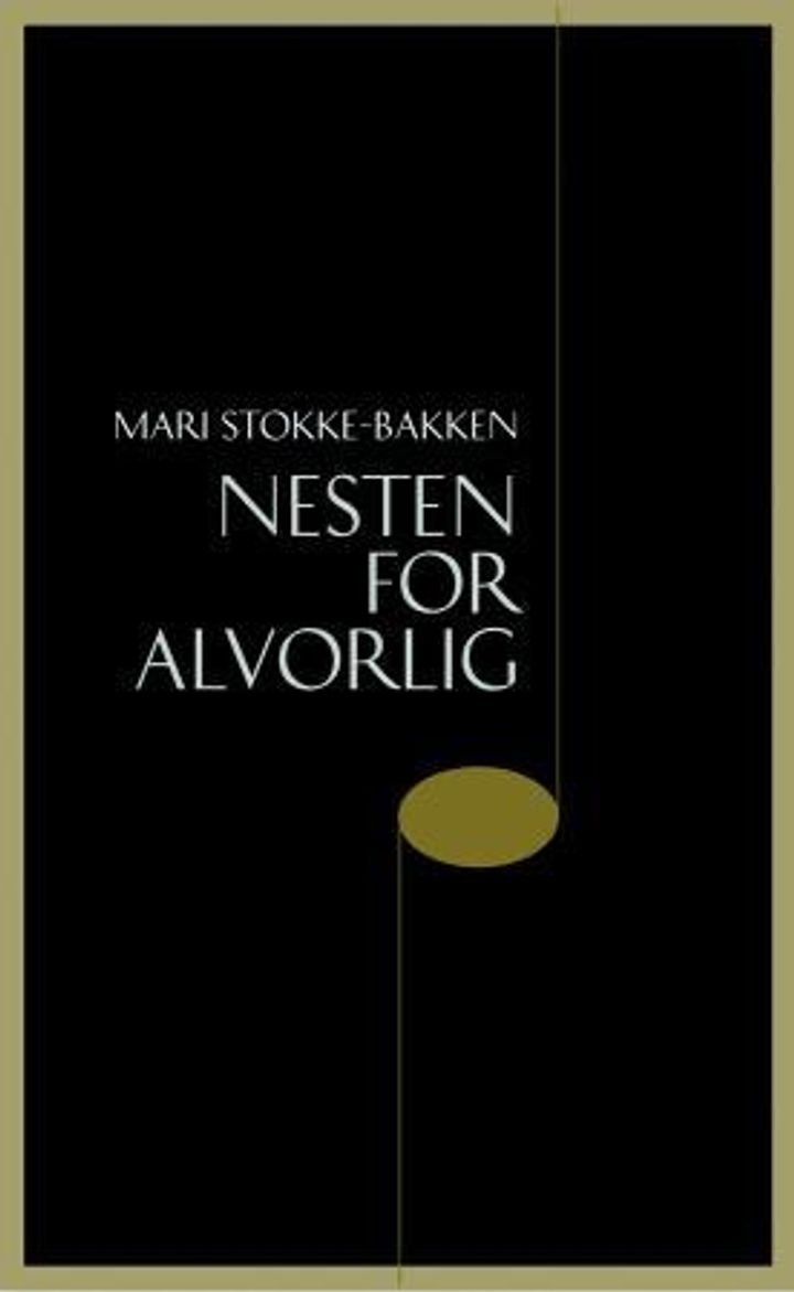 Nesten for alvorlig - roman