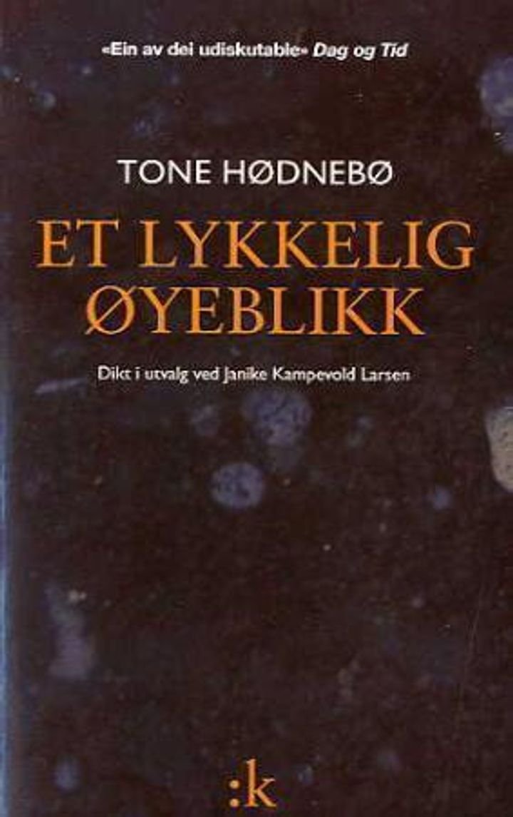 Et lykkelig øyeblikk - dikt i utvalg