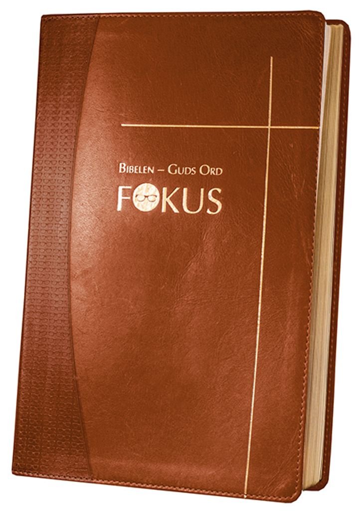 Bibelen - Guds ord fokus - studiebibel
