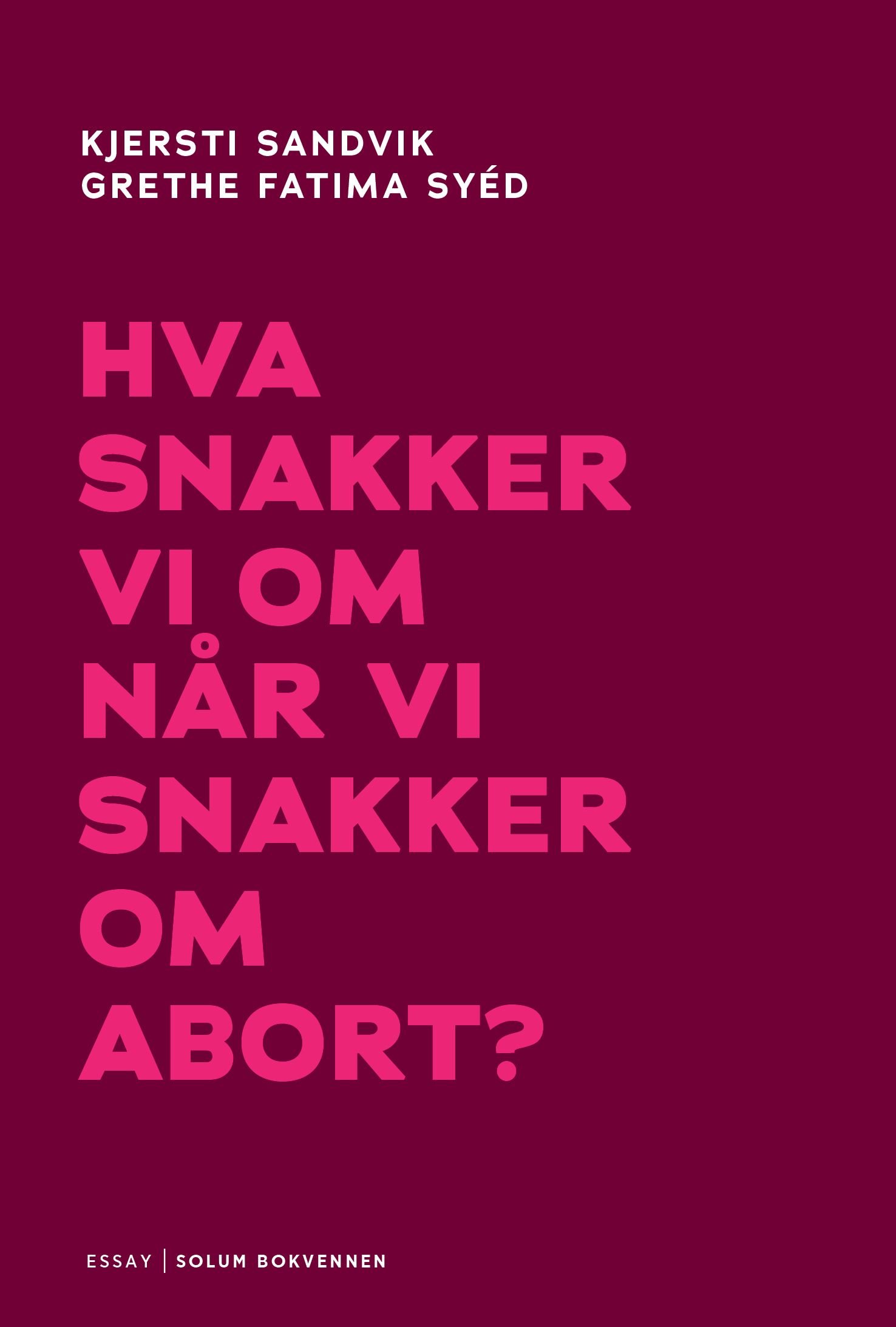 Hva snakker vi om når vi snakker om abort?
