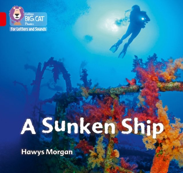 BIG CAT L&S_A SUNKEN SHIP