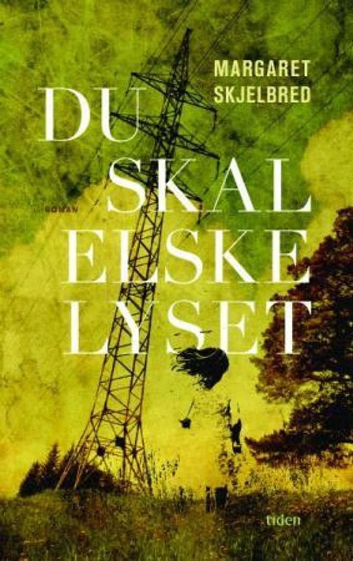 Du skal elske lyset - roman