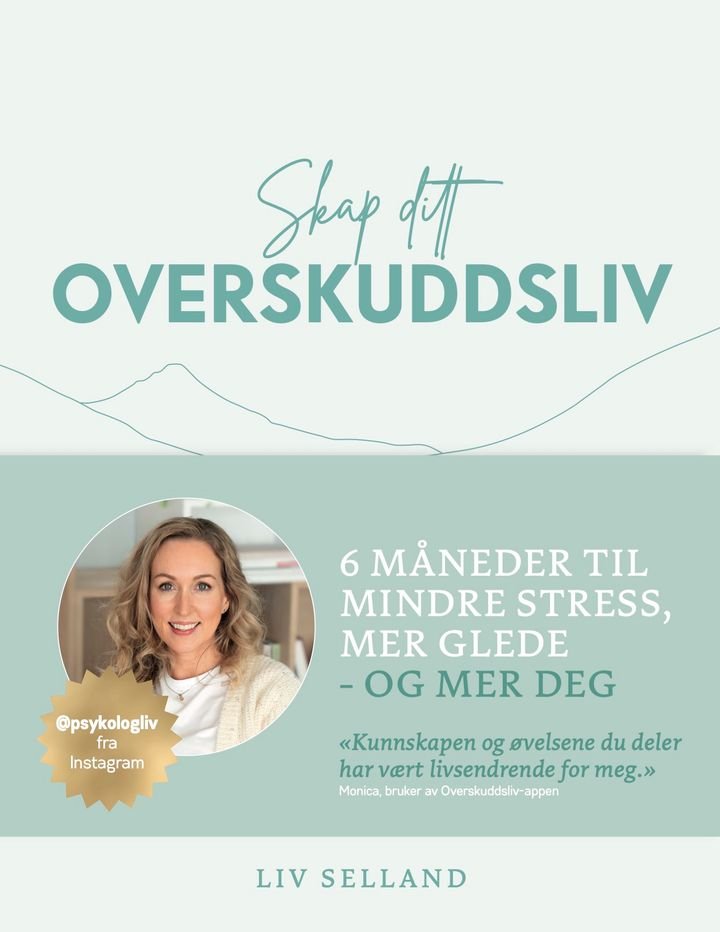 Skap ditt overskuddsliv