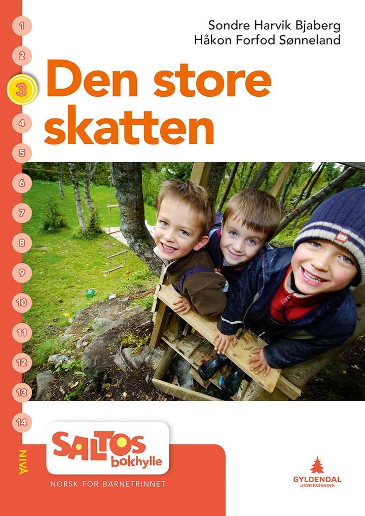 Den store skatten - nivå 3-4 : norsk for barnesteget