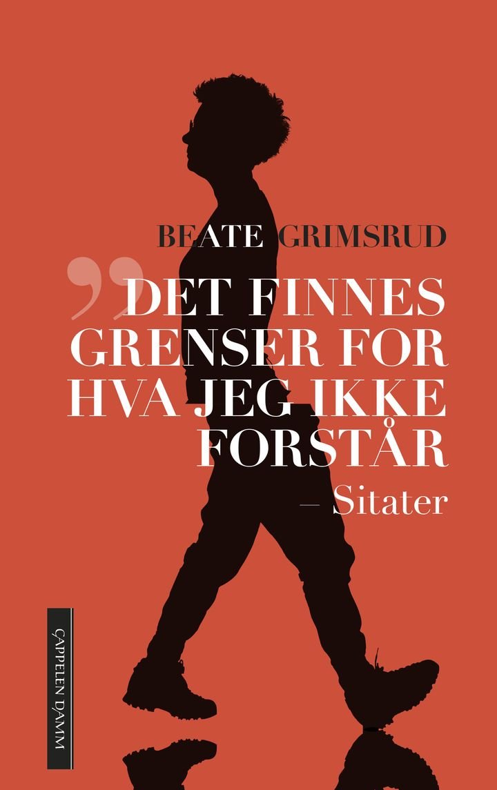Det finnes grenser for hva jeg ikke forstår - sitater