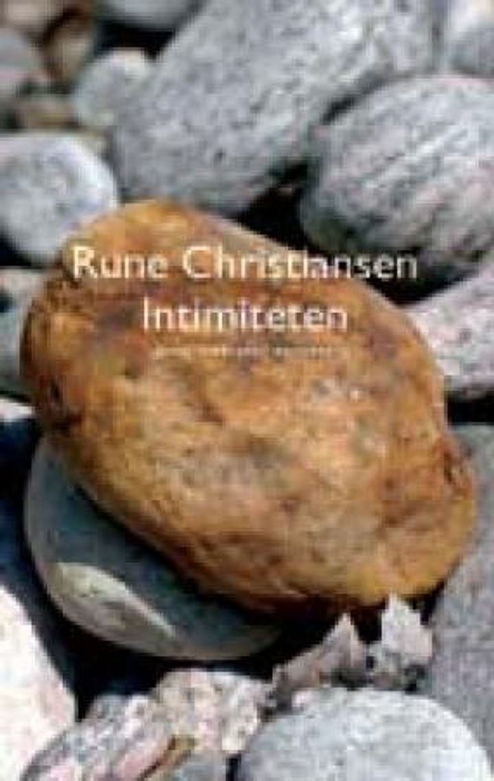 Intimiteten - roman