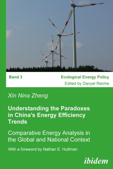 Understanding the Paradoxes in China''s Energy Efficiency Trends