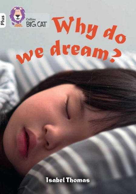 BIG CAT_WHY DO WE DREAM