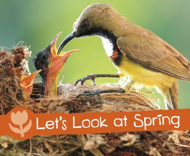Let''s Look at Spring