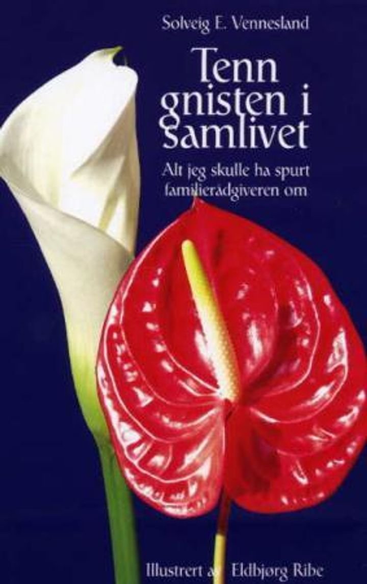 Tenn gnisten i samlivet - alt jeg skulle ha spurt familierådgiveren om