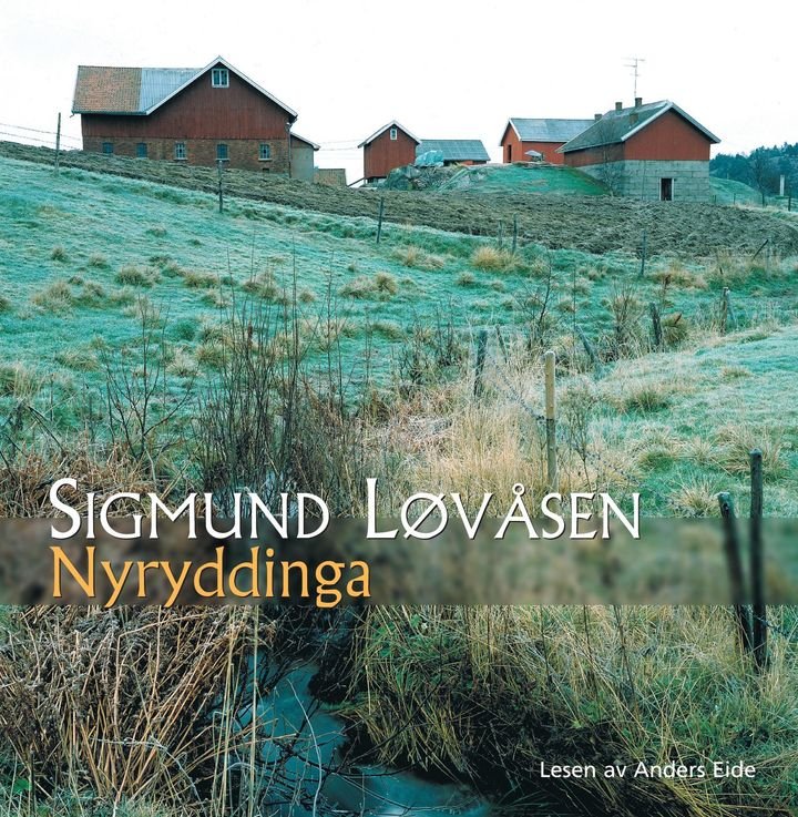 Nyryddinga - roman