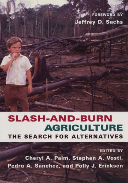 Slash and Burn Agriculture – The Search for Alternatives