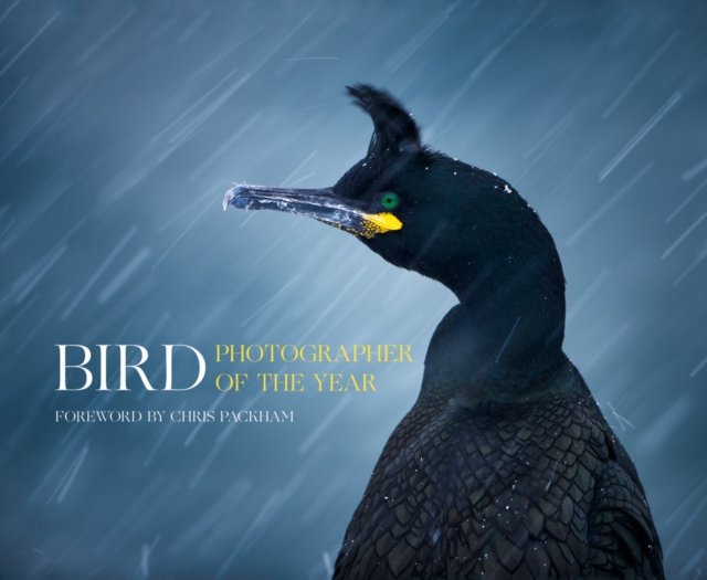 BIRD PHOTOGRAPHER OF YR HB