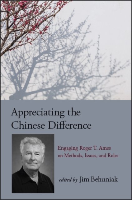 Appreciating the Chinese Difference