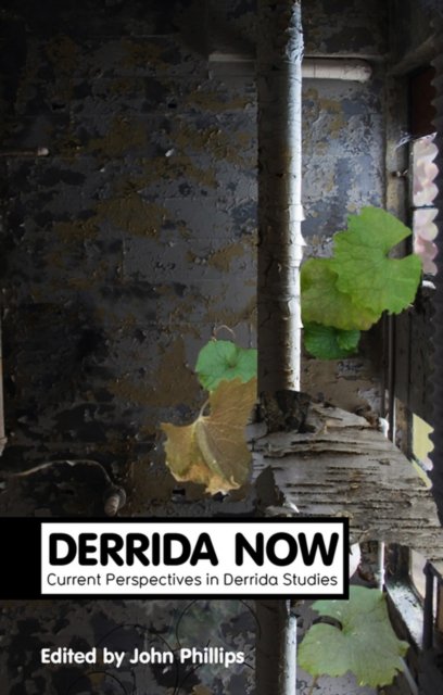 Derrida Now – Current Perspectives in Derrida Studies
