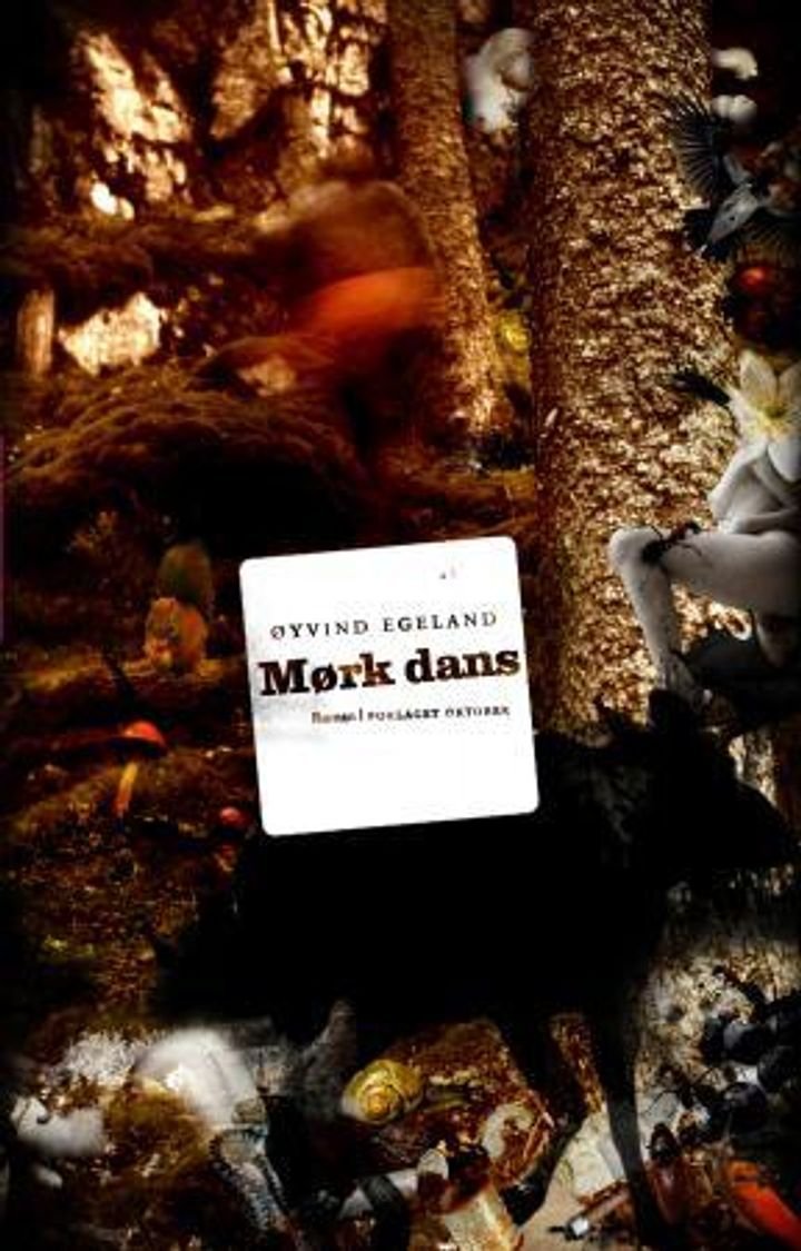 Mørk dans - roman
