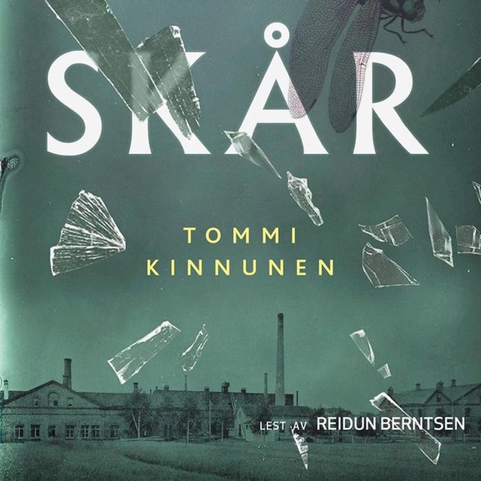 Skår