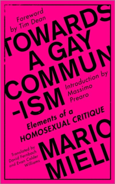 Towards a Gay Communism – Elements of a Homosexual Critique
