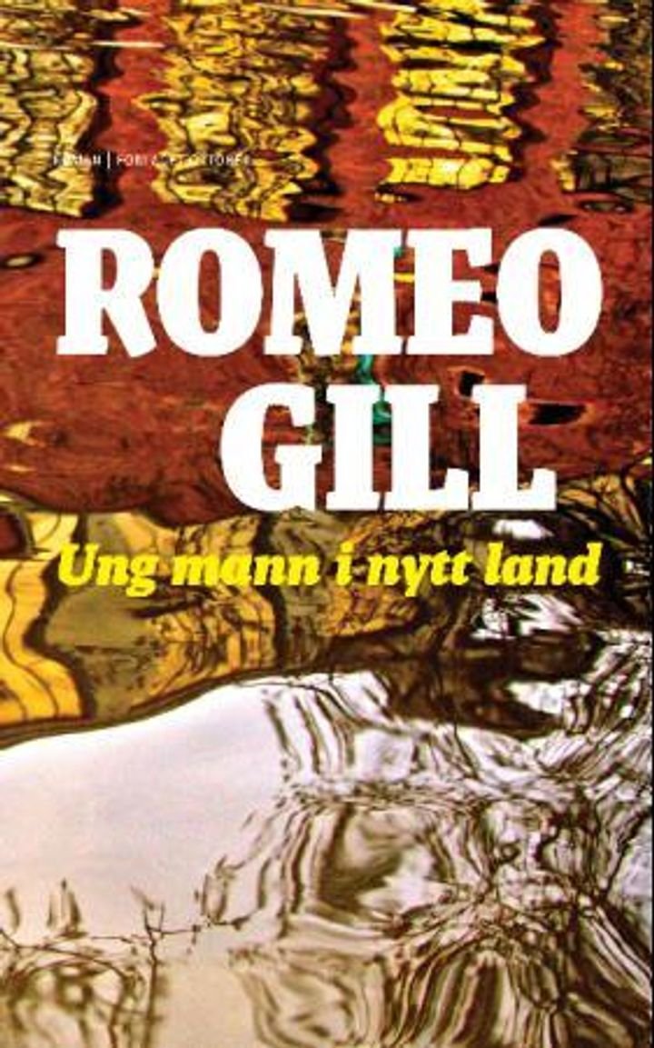 Ung mann i nytt land - roman