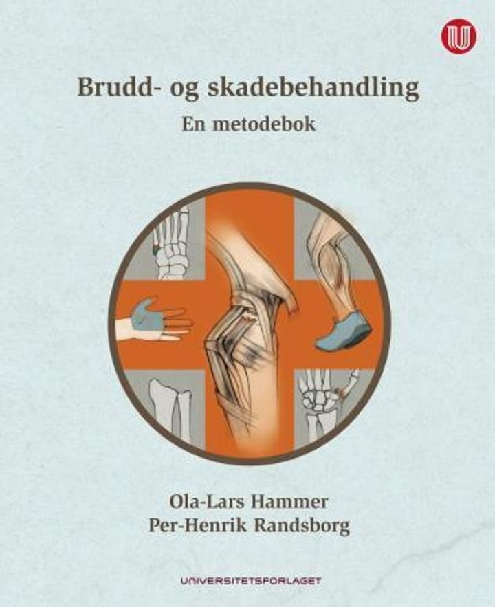 Brudd- og skadebehandling - en metodebok