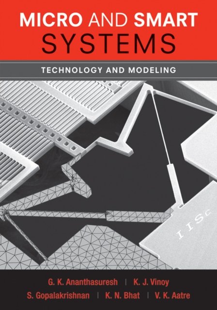 Micro and Smart Systems – Technology and Modeling (WSE)