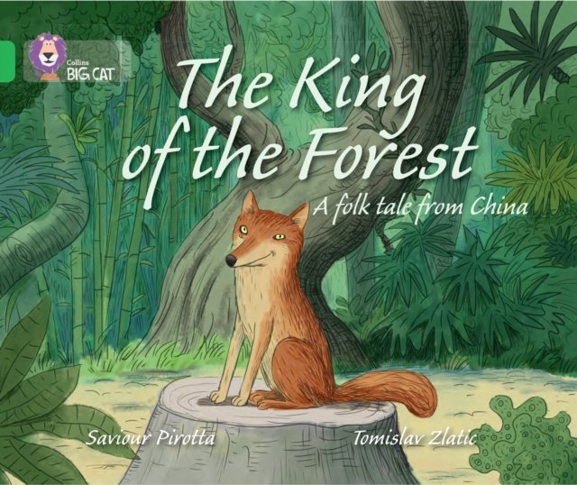 BIG CAT - KING OF FOREST