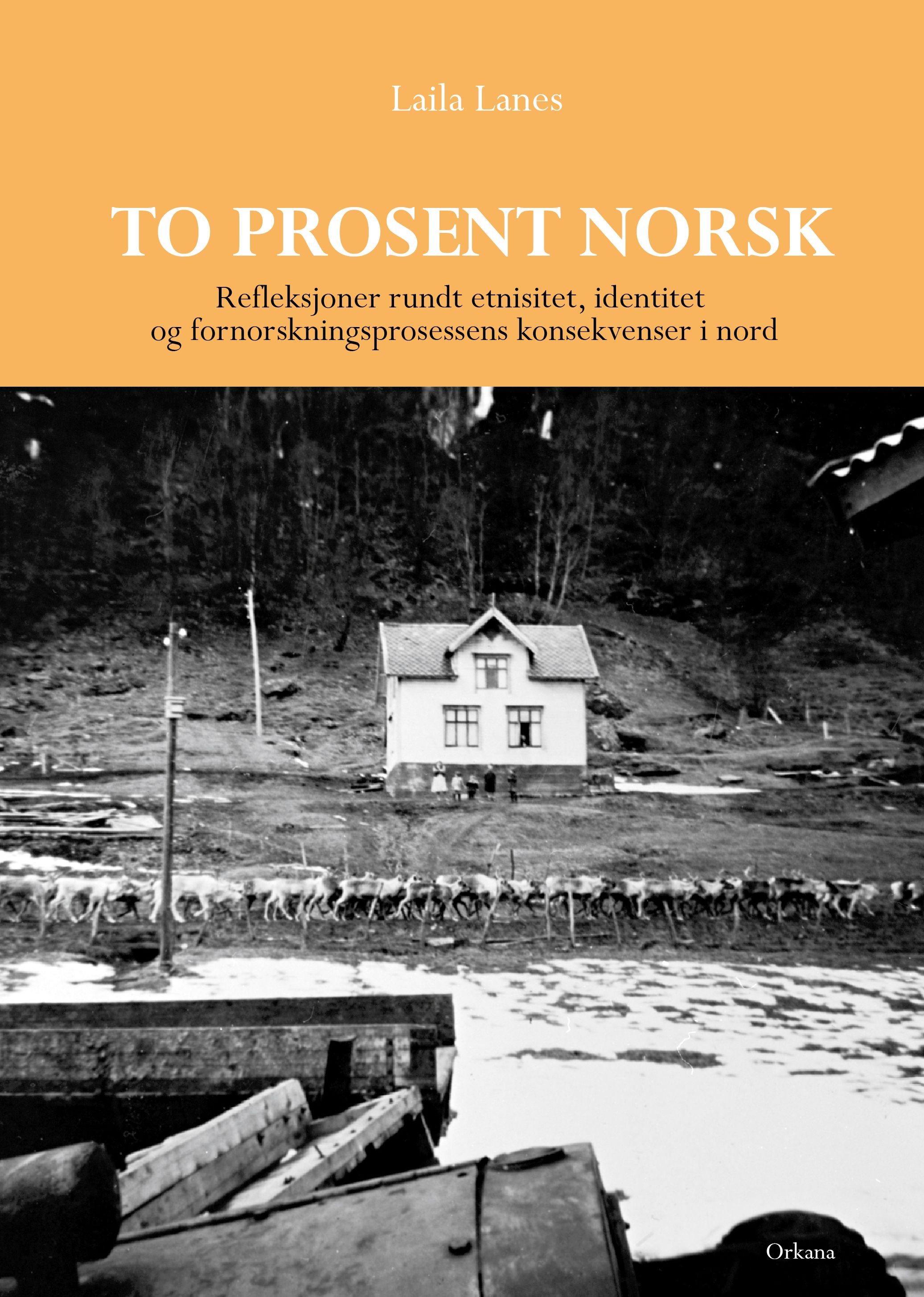 To prosent norsk - refleksjoner rundt etnisitet, identitet og fornorskningsprosessens konsekvenser i nord