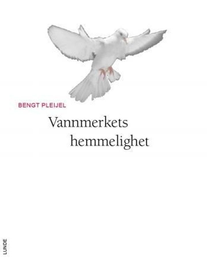 Vannmerkets hemmelighet - en oppdagelsesvandring i dåpens kraftfelt