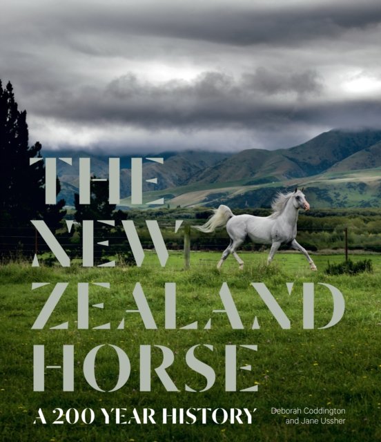 New Zealand Horse