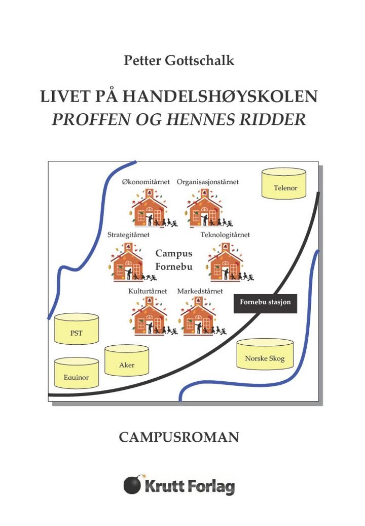 Livet på handelshøyskolen - proffen og hennes ridder : campusroman