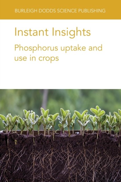 Instant Insights
