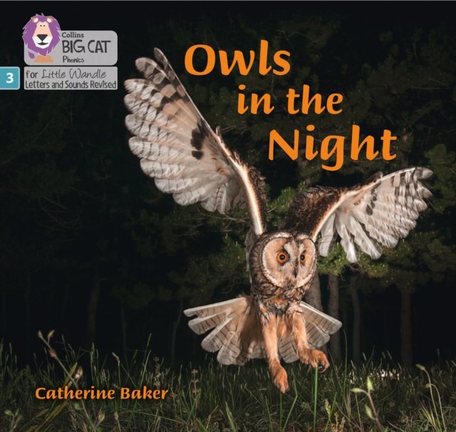 BIG CAT LW L&S _OWLS NIGHT